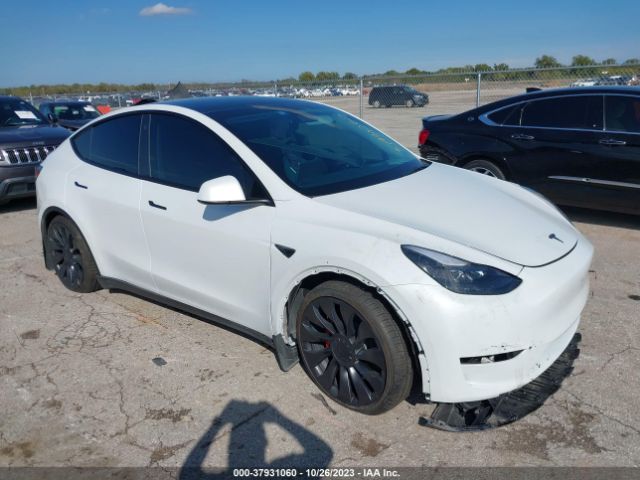 2023 TESLA MODEL Y 7SAYGDEF5PF701800