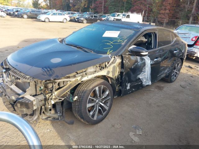 1N4AA6AV3KC368257 Nissan Maxima 3.5 Sl