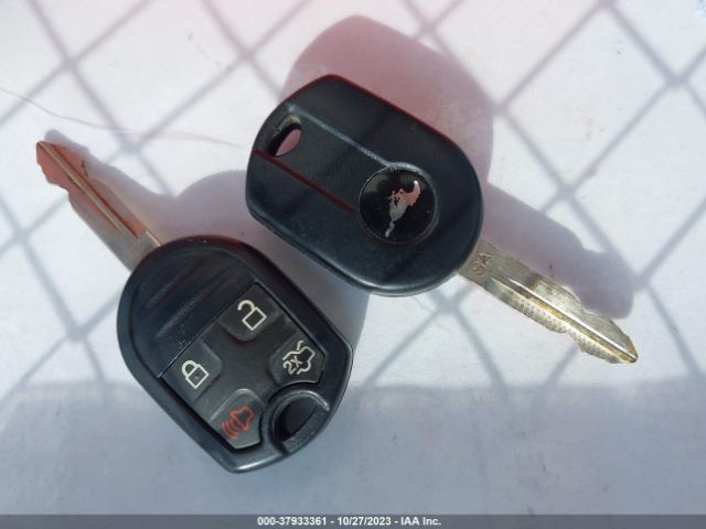 1ZVBP8AM9E5277533 Ford Mustang V6