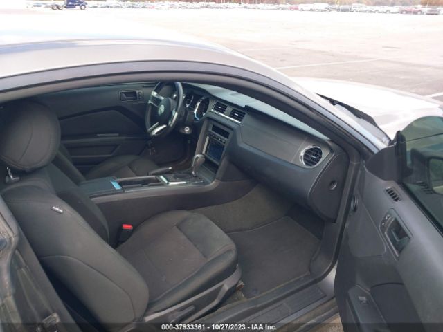 1ZVBP8AM9E5277533 Ford Mustang V6