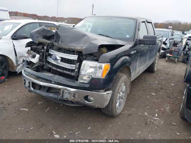 2014 FORD F-150 XLT VIN: 1FTFW1EF3EFB89582
