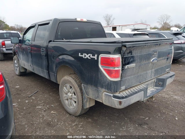 2014 FORD F-150 XLT VIN: 1FTFW1EF3EFB89582