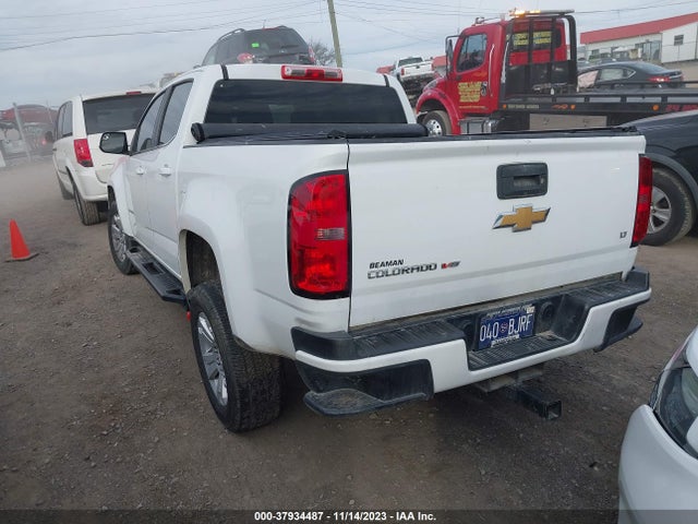 Chevrolet Colorado Lt 2019 1GCGSCEN7K1102603 Image 3