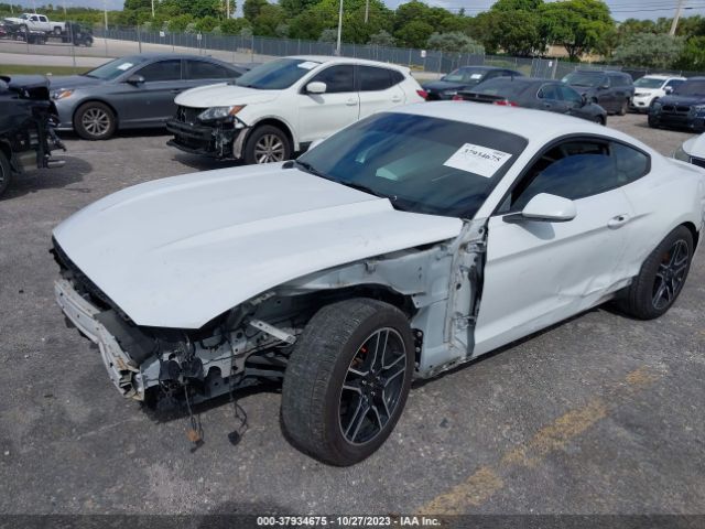 1FA6P8AM7F5349146 Ford Mustang V6