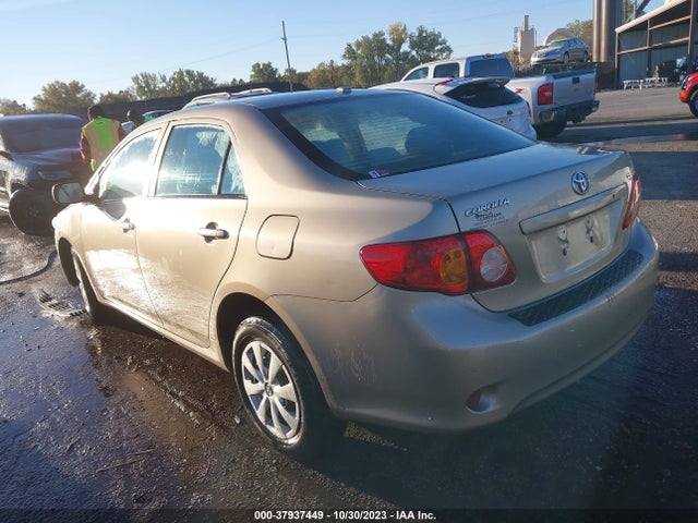 2010 TOYOTA COROLLA VIN: 1NXBU4EE9AZ300280