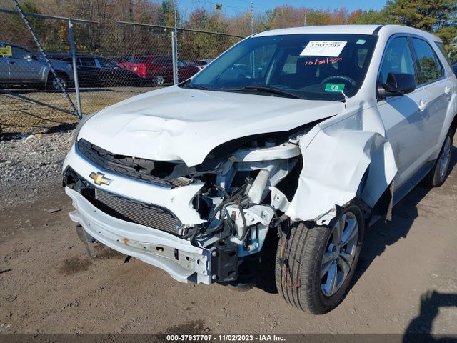 2016 CHEVROLET EQUINOX LS VIN: 2GNFLEEK2G6230964