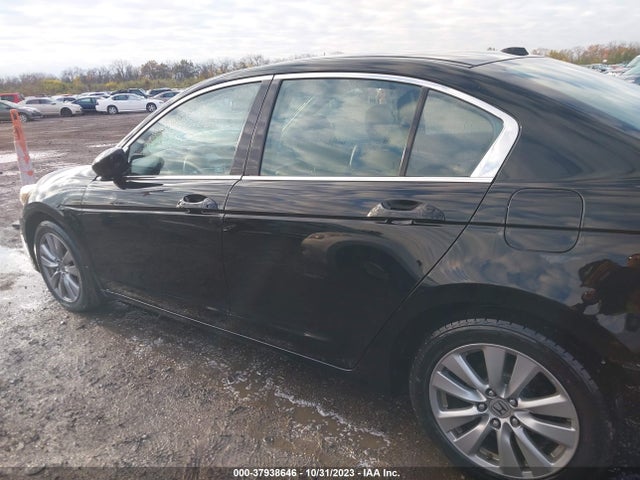 2011 HONDA ACCORD 2.4 EX-L VIN: 1HGCP2F83BA099171