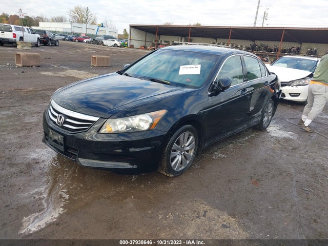 2011 HONDA ACCORD 2.4 EX-L VIN: 1HGCP2F83BA099171
