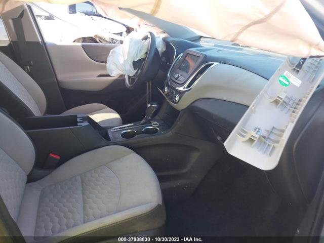 Chevrolet EQUINOX LS 2019 3GNAXHEV1KS543170 Image 5