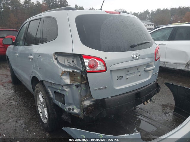2010 HYUNDAI SANTA FE GLS VIN: 5NMSGDAB2AH401823