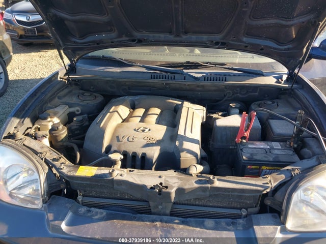 2004 HYUNDAI SANTA FE GLS VIN: KM8SC73D54U685369