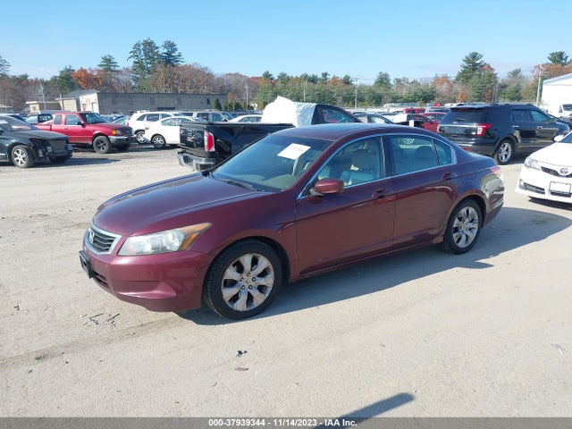 2010 HONDA ACCORD SDN EX-L VIN: 1HGCP2F84AA145332