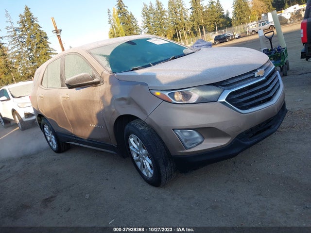 Chevrolet EQUINOX LS 2019 2GNAXHEV1K6167049 Image 1