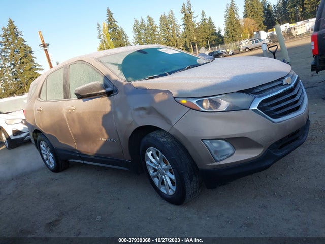 Chevrolet EQUINOX LS 2019 2GNAXHEV1K6167049 Image 13