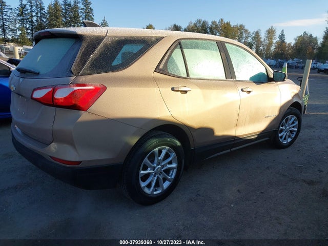 Chevrolet EQUINOX LS 2019 2GNAXHEV1K6167049 Image 4