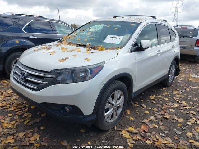 Honda Cr-v Ex-l 2014 5J6RM4H78EL070561 Image 2