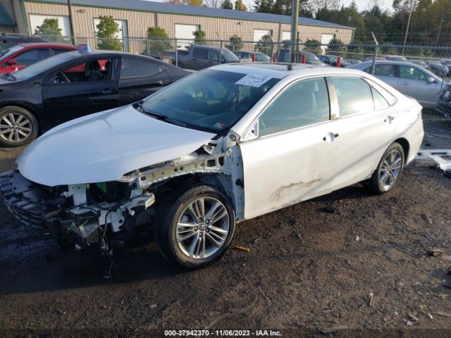 4T1BF1FK0GU265828 Toyota Camry Xle/se/le/xse