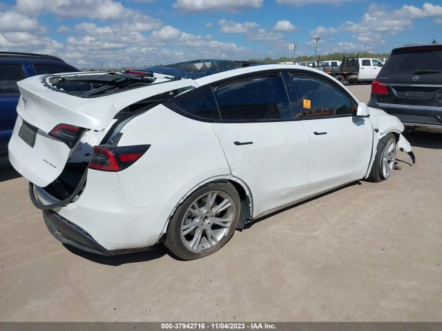 2023 TESLA MODEL Y 7SAYGDEE4PA146892 Photo 3
