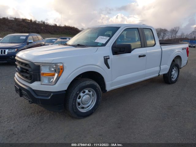 1FTEX1EB6MKD60921 Ford F-150 Xl/xlt