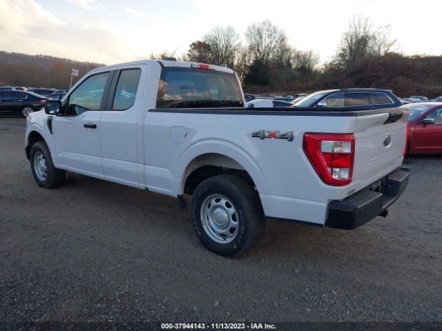 1FTEX1EB6MKD60921 Ford F-150 Xl/xlt