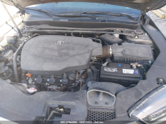 19UUB2F36KA005856 Acura Tlx Standard