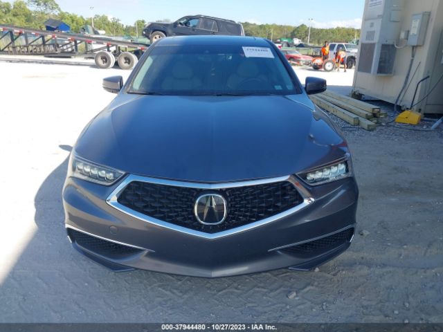 19UUB2F36KA005856 Acura Tlx Standard