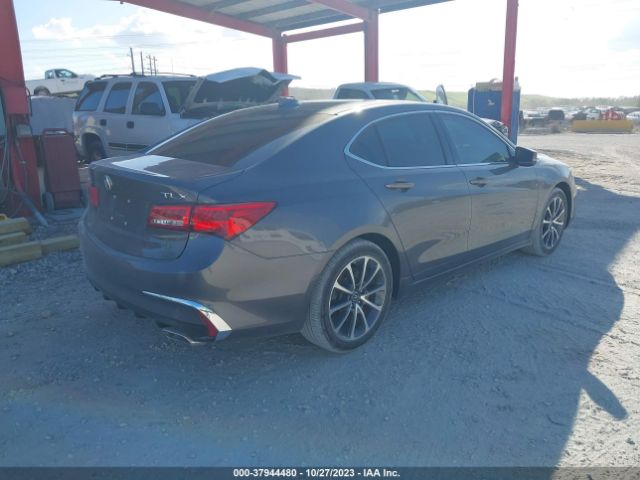 19UUB2F36KA005856 Acura Tlx Standard