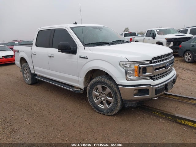 Ford F-150 Xlt 2019 1FTEW1E54KKE61255 Image 1