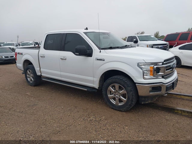 Ford F-150 Xlt 2019 1FTEW1E52KKD25321 Image 13