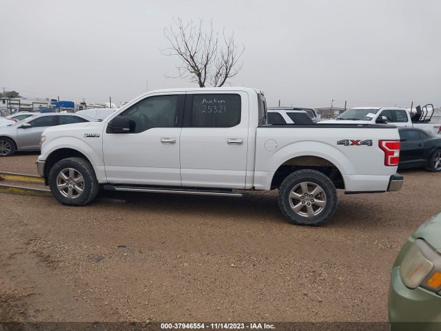 Ford F-150 Xlt 2019 1FTEW1E52KKD25321 Image 14