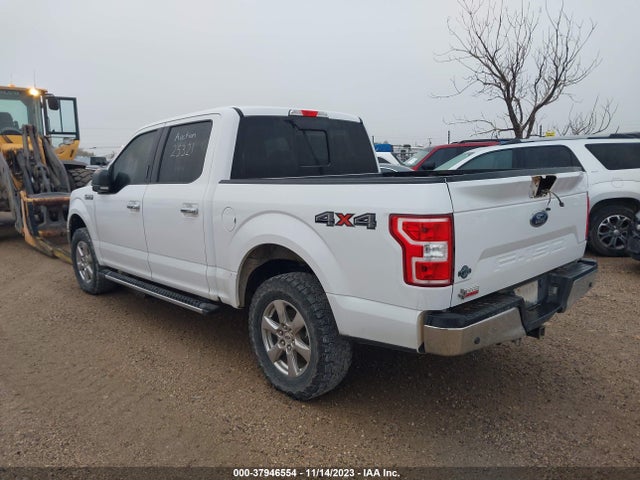 Ford F-150 Xlt 2019 1FTEW1E52KKD25321 Image 3