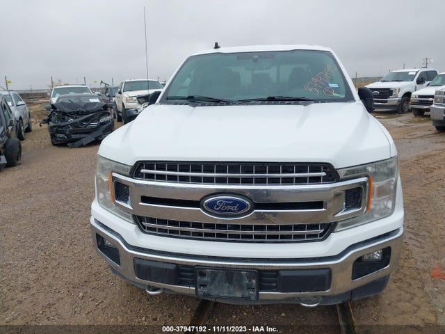Ford F-150 Xlt 2019 1FTEW1E5XKKE04851 Image 12
