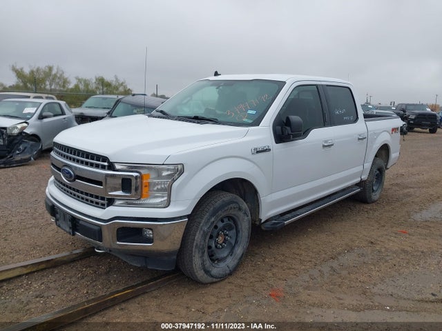 Ford F-150 Xlt 2019 1FTEW1E5XKKE04851 Image 2
