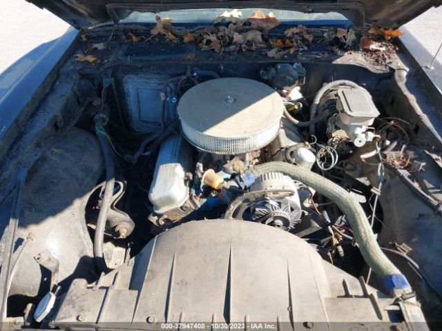 1981 PONTIAC FIREBIRD 1G2AW87T7BL117761 Photo 9