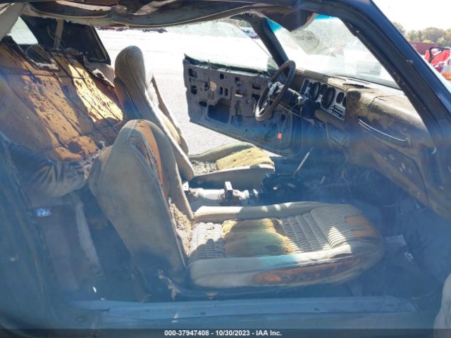 1981 PONTIAC FIREBIRD 1G2AW87T7BL117761 Photo 4