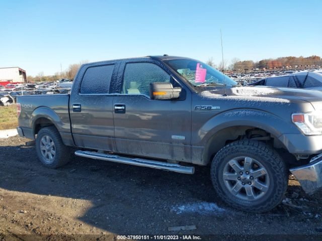 1FTFW1ET3EKD02329 Ford F-150 Xl/xlt/fx4/lariat