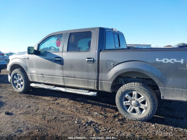 1FTFW1ET3EKD02329 Ford F-150 Xl/xlt/fx4/lariat