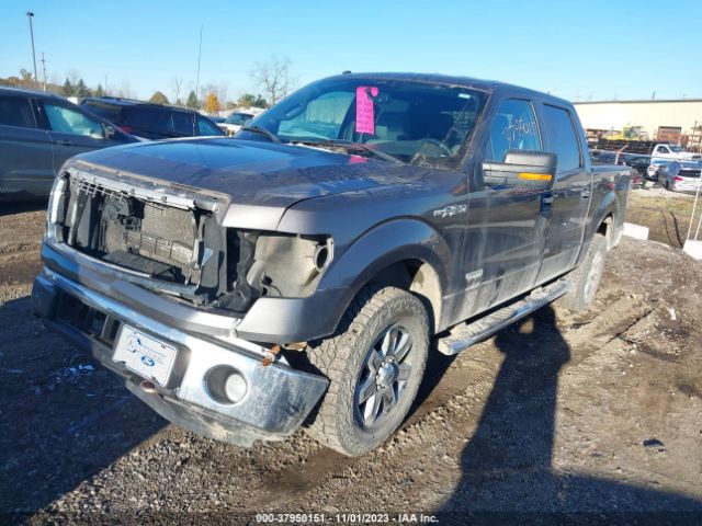 1FTFW1ET3EKD02329 Ford F-150 Xl/xlt/fx4/lariat