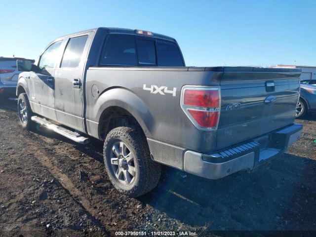 1FTFW1ET3EKD02329 Ford F-150 Xl/xlt/fx4/lariat