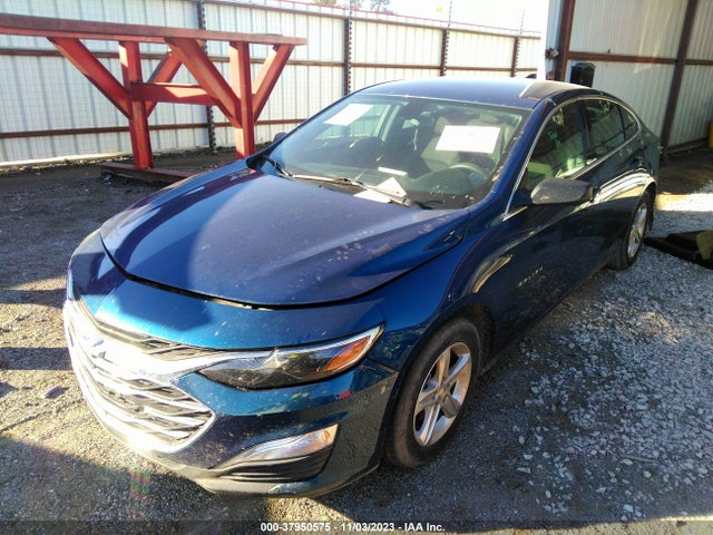 Chevrolet Malibu 1ls 2019 1G1ZB5ST7KF172749 Image 2