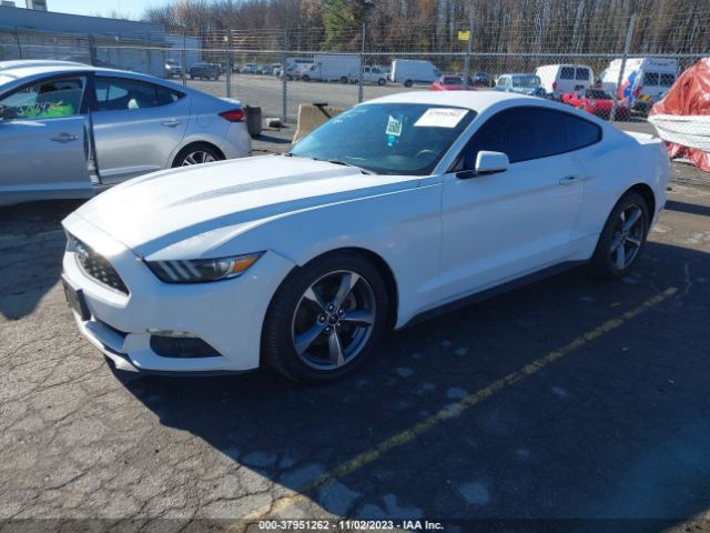1FA6P8AM5G5325624 Ford Mustang V6