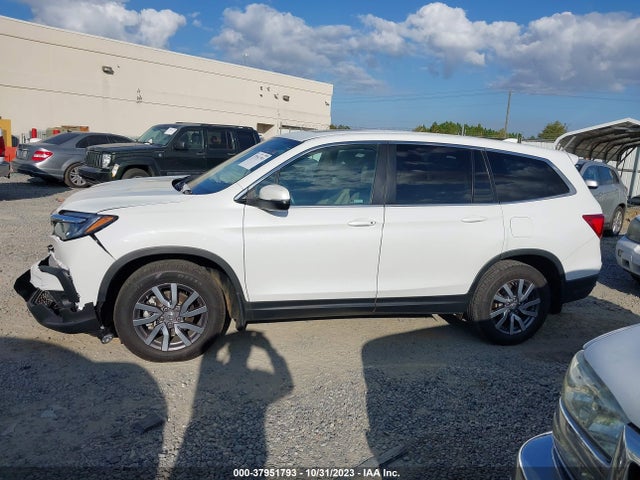 2020 HONDA PILOT 2WD EX-L VIN: 5FNYF5H50LB020043
