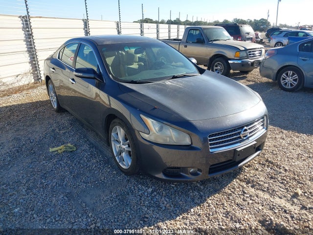 2010 NISSAN MAXIMA 3.5 SV VIN: 1N4AA5AP1AC833547
