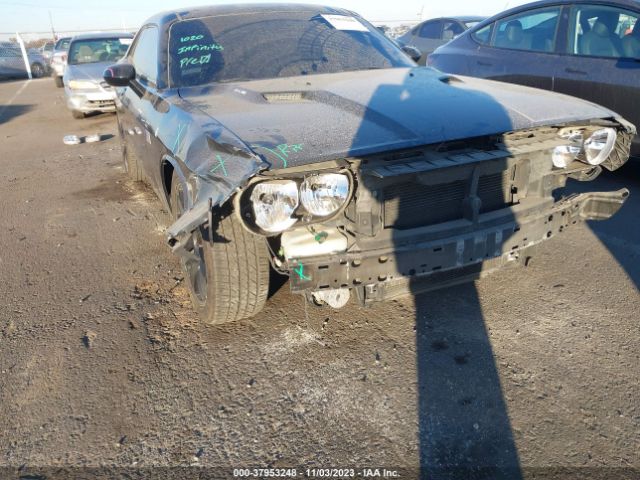 2C3CDYBT4EH256219 Dodge Challenger R/t