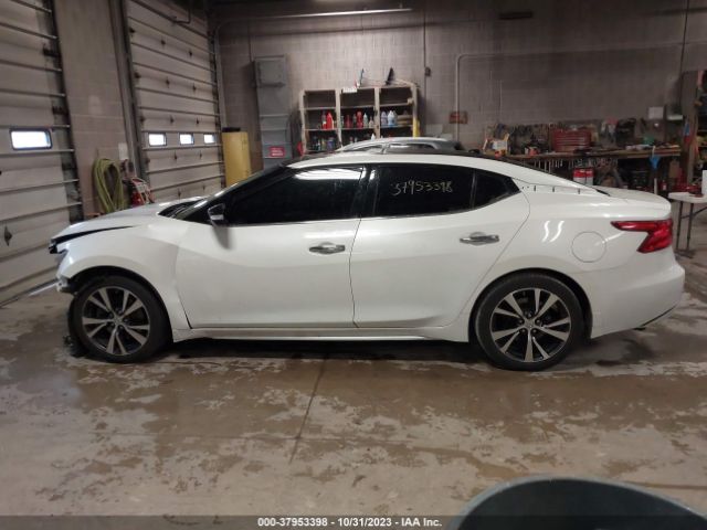 1N4AA6AP7HC429961 Nissan MAXIMA SL