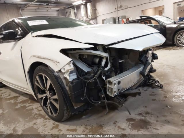 1N4AA6AP7HC429961 Nissan MAXIMA SL