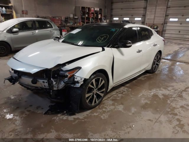 1N4AA6AP7HC429961 Nissan MAXIMA SL