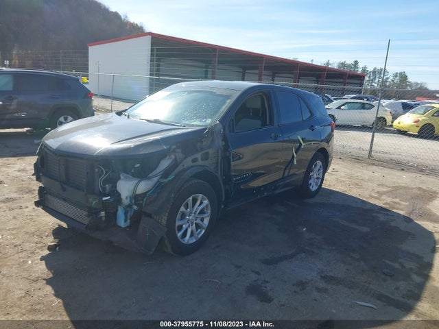 Chevrolet EQUINOX LS 2019 3GNAXSEV5KL268278 Image 2