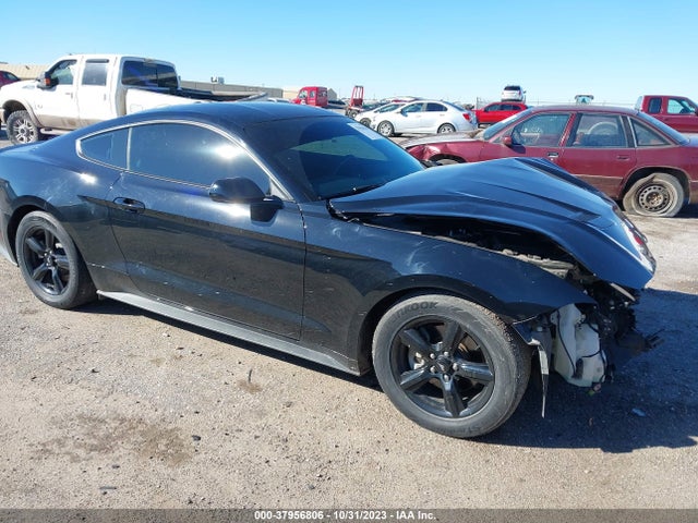 2019 FORD MUSTANG ECOBOOST VIN: 1FA6P8TH7K5103904