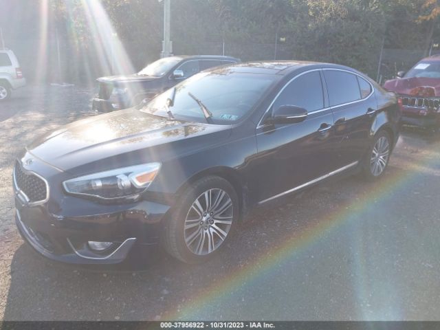 KNALN4D77E5126151 KIA Cadenza Premium
